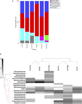 Impact of Ocean Acidification on the Intestinal Microbiota of the Marine Sea Bream (Sparus aurata L.)